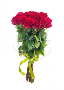 Bouquet of blossoming dark red roses isolated on white background. Closeup.