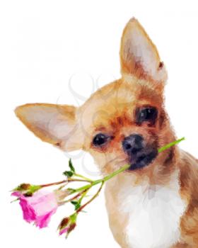 Chihuahua dog with rose isolated on white background in low poly style.  Low poly design triangular Chihuahua dog.