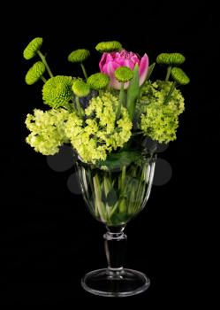 Beautiful bouquet of green chrysanthemums, tulip and viburnum flowers in glass vase on black background. 