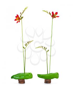 Abstract composition of freesia and sweet green pepper on wooden stand isolated on white background.