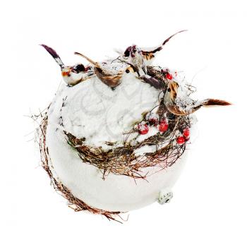 New Year's composition from birds, mountain ashes, snow and white sphere isolated on white background.