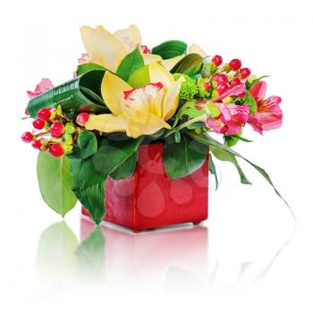 colorful floral bouquet of roses, cloves and orchids arrangement centerpiece in vase isolated on white background