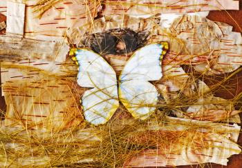 Abstract composition of butterflies, birch bark and straw.