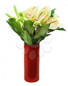 Bouquet from anturiums in red vase isolated on white background. 