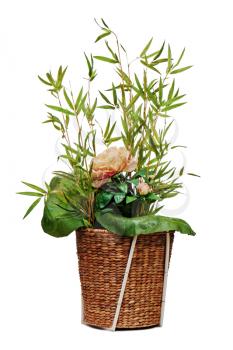 Flower arrangement of peon flower, lotus leaf and twigs of bamboo isolated on white background.