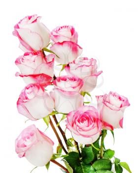 Colorful flower bouquet from roses isolated on white background.