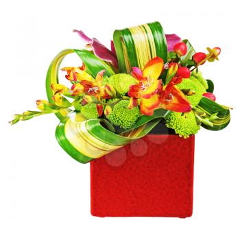 Bouquet from orchids in red vase isolated on white background. Closeup.