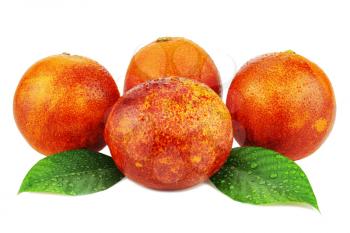 Ripe red blood oranges with green leaves isolated on white background.