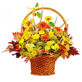 Colorful flower bouquet arrangement centerpiece in wicker basket isolated on white background. Closeup.