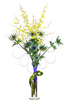 Miniature orchids and eryngium flowers in vase isolated on white background. Closeup.