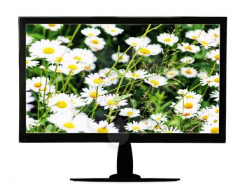 Black lcd monitor with flowering meadow isolated on white background. Closeup.