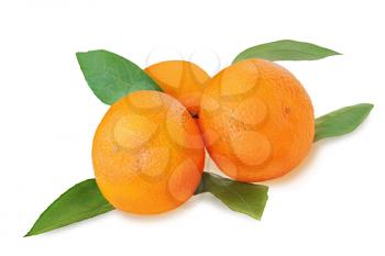 Fresh tangerines with green leaves isolated on white background. Closeup.