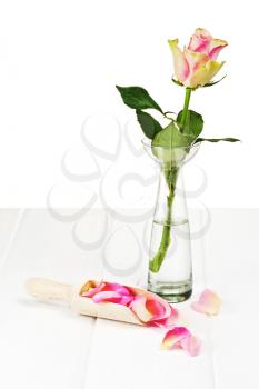 Pink roses with petals on wooden background. Closeup.