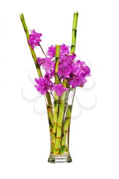 Colorful flower bouquet from purple rhododendron flowers on branch and green bamboo arrangement centerpiece in glass vase isolated on white background. Closeup.