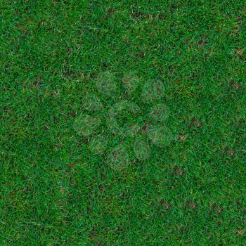 Green Trimmed Grass on the Lawn. Seamless Tileable Texture. .