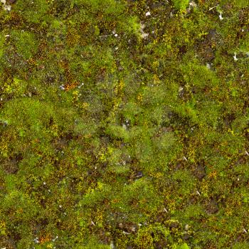 Green Moss. Seamless Tileable Texture.