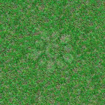 Forest Soil with Grass. Seamless Tileable Texture.