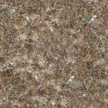 Seamless Texture of Prairie Soils. Clay Dry Soil with Pebbles, Shells, Dry Grass and Green Shoots of Lichens.