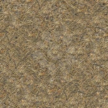 Seamless Texture of Soil Covered with Withered Grass.