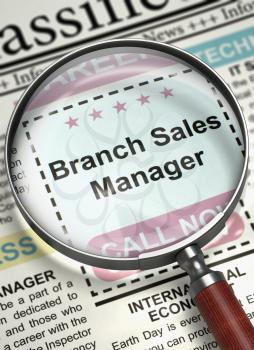 Branch Sales Manager - Job Vacancy in Newspaper. Branch Sales Manager - Close Up View Of A Classifieds Through Magnifier. Job Seeking Concept. Selective focus. 3D Rendering.