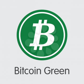 Bitcoin Green. Cryptocurrency. BITG Icon Isolated on Grey Background. Stock Vector Web Icon.