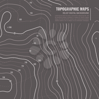 Lie Of Ground Vector Topographic Detailed Map with Route and Coordinates. Abstract Topographic Background in Grey Colors.
