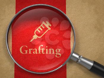 Grafting Concept. Magnifying Glass with Syringe Icon on Old Paper with Red Vertical Line Background.