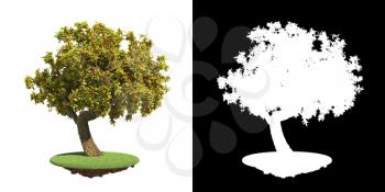 Tree on Grass Island Isolated on White Background with Detail Raster Mask.