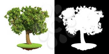 Decorative Lush Green Tree on Green Grass  Isolated on White Background with Detail Raster Mask.