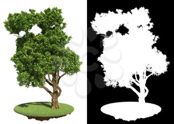 Green Tree with irregular crown Isolated on White Background with Detail Raster Mask.