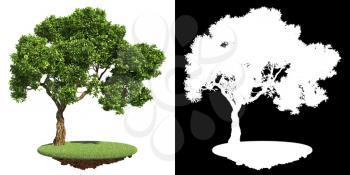 Tree Isolated on White Background with Detail Raster Mask.