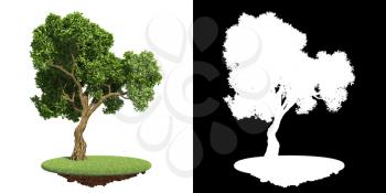 Park's Green Tree on Grass Island on White Background with Detail Raster Mask.
