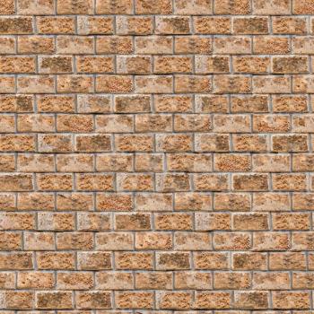 Coquina Wall -  Small Size. Seamless Tileable Texture.