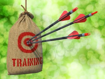 Training - Three Arrows Hit in Red Target on a Hanging Sack on Green Bokeh Background.