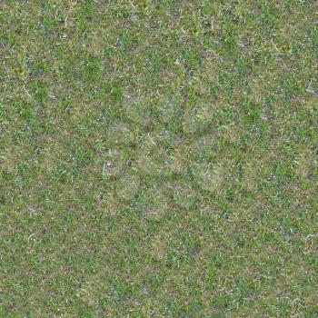 Grassplot with Green and Yellowed Grass. Seamless Tileable Texture.