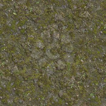 Moss on Cracked Ground with Dry Grass. Seamless Tileable Texture.