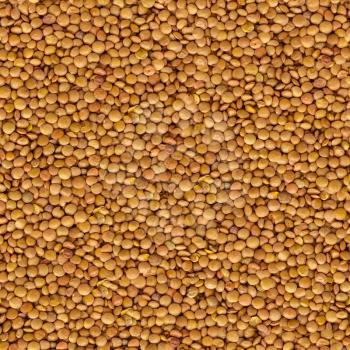 Lentil Yellow Evenly Layer Background.  Seamless Tileable Texture.