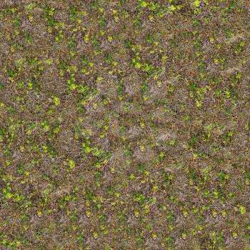 Spring Soil with Young Shoots of Plants and last year's Dry Grass. Seamless Tileable Texture.