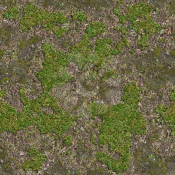 Soil is Covered with Moss and Green Grass. Seamless Tileable Texture.