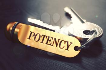 Potency - Bunch of Keys with Text on Golden Keychain. Black Wooden Background. Closeup View with Selective Focus. 3D Illustration. Toned Image.