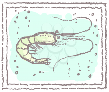 Shrimp in frame