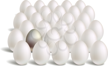 white silver eggs rows