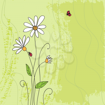 Ladybug on chamomile flower and grunge green grass background 