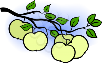 beautiful green apple branch of  tree, vector illustration