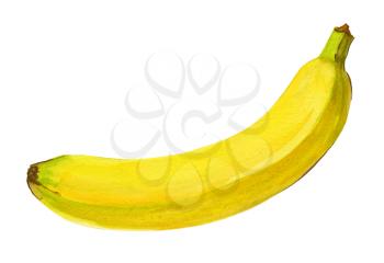 Banana. Isolated on a white background. Watercolor handwork illustration of tropical fruit. Hand drawn painting with yellow green white dominant color