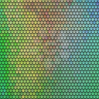 Scaly pattern. Scales of the fairy dragon. Rainbow blue green background
