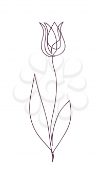 Beautiful tulip flower. Line art concept design. Continuous line drawing. Stylized flower symbol. Vector illustration.