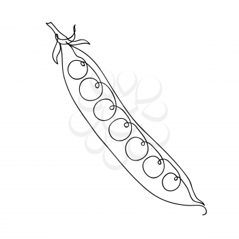 Hand drawn sketch green peas. isolated on white background. Continuous line art. Outline style hand drawn vector illustration.