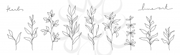 Herb line art collection. Abstract leaves continuous line drawing set.