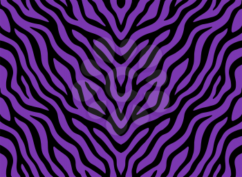 Zebra stripes seamless pattern. Tiger stripes skin print design. Wild animal hide artwork background. Black and violet vector illustration.
